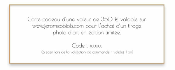 Carte cadeau - 350 euros